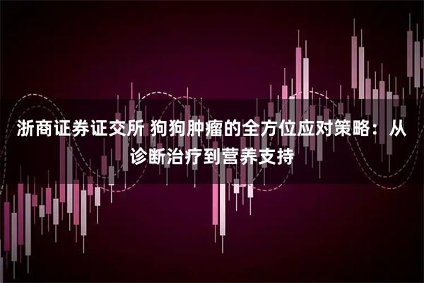 浙商证券证交所 狗狗肿瘤的全方位应对策略：从诊断治疗到营养支持