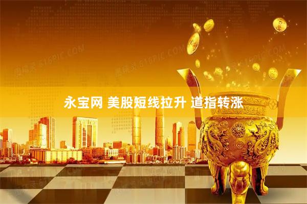永宝网 美股短线拉升 道指转涨
