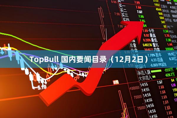 TopBull 国内要闻目录（12月2日）