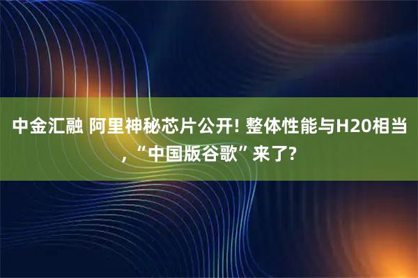 中金汇融 阿里神秘芯片公开! 整体性能与H20相当, “中国版谷歌”来了?