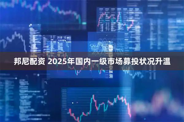 邦尼配资 2025年国内一级市场募投状况升温